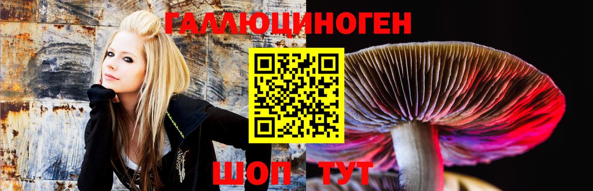 Псилоцибиновые грибы мицелий Алексеевка