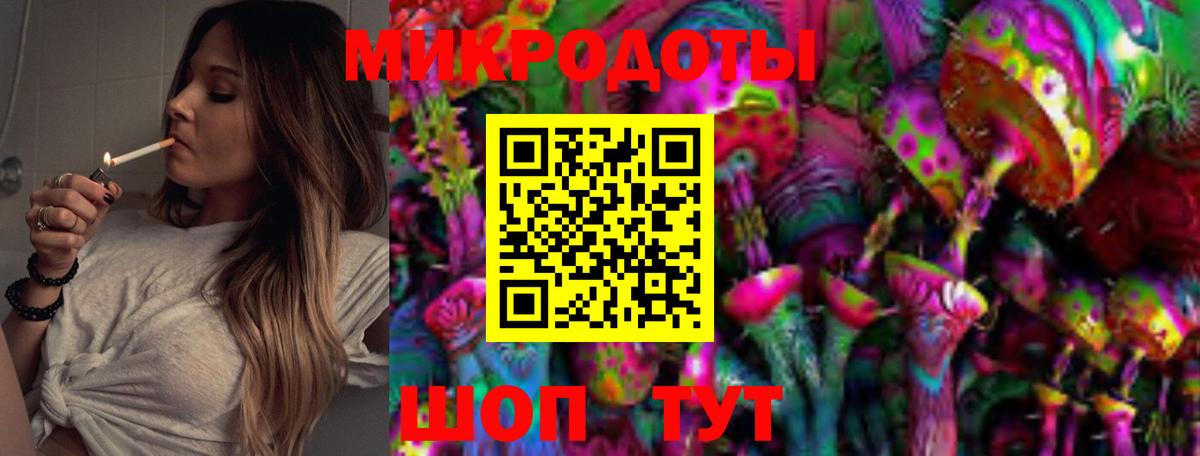 Алексеевка  Псилоцибиновые грибы Psilocybine cubensis  Вход с VPN  Галлюциногенные грибы Psilocybine cubensis 
